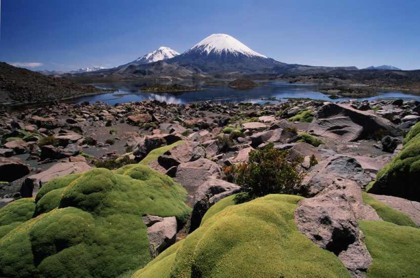 Parque Nacional Lauca Full Day