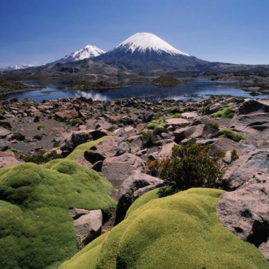 Parque Nacional Lauca Full Day